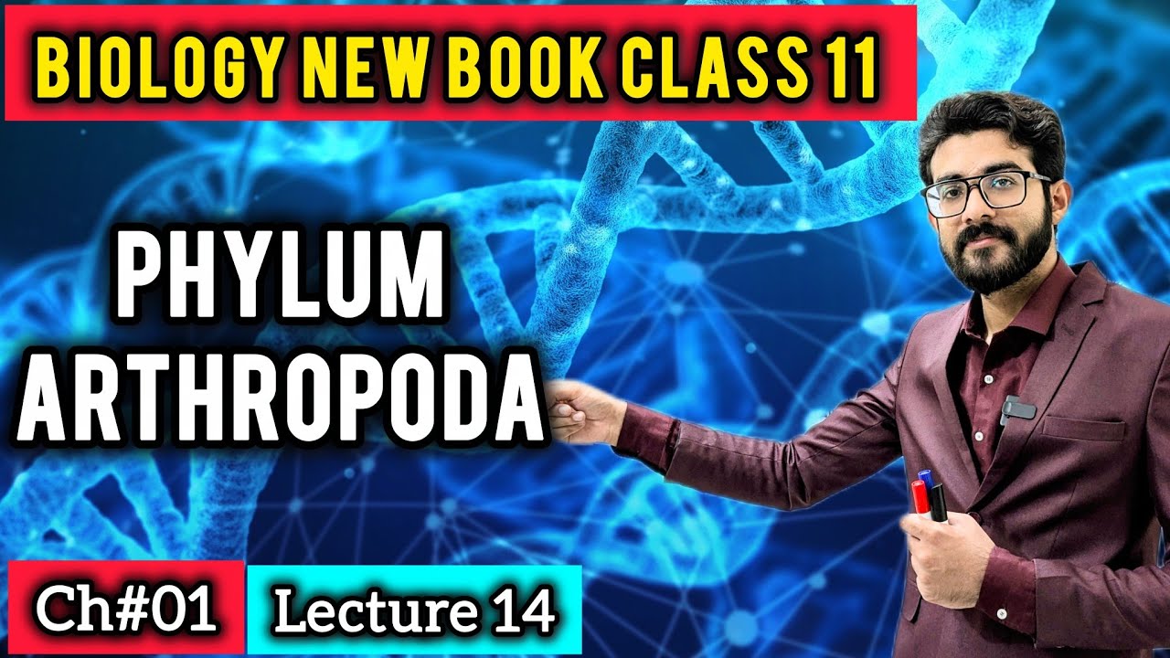 Phylum Arthropoda Class 11 – Features, Body Plan, Classification & Importance  | New Book 2025