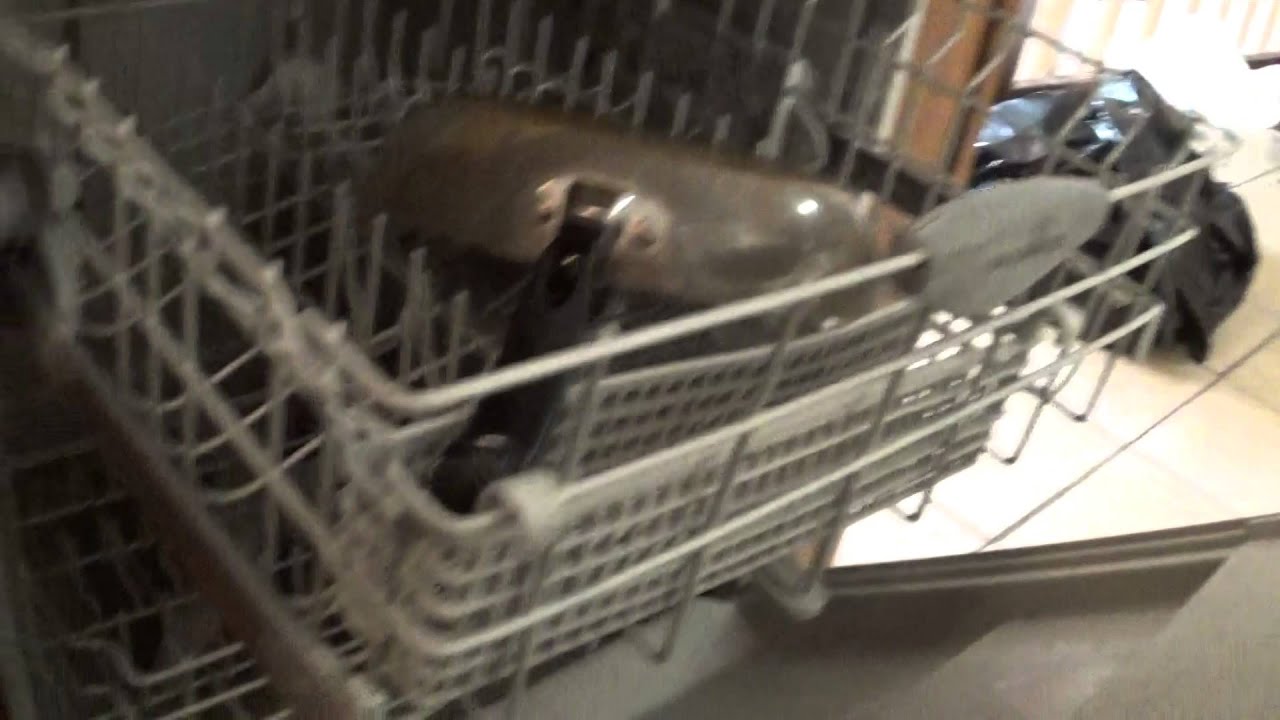 12821 CARVEL - VIDIO 2 - TENANT MOVE OUT - 04/1/2016