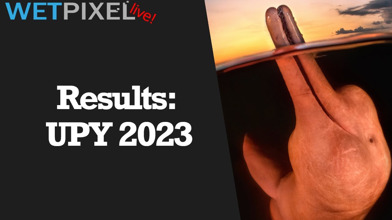 A Review of the Winning Images from UPY 2023