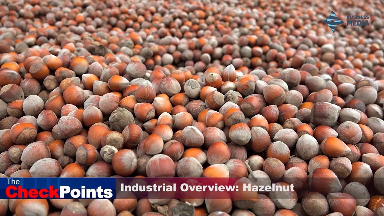 Industrial Overview: Hazelnut