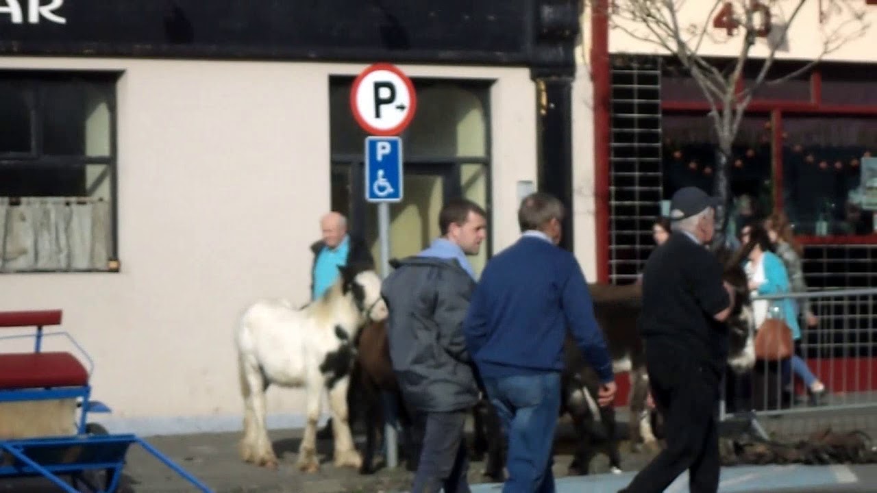 Horse Fair Castleisland Nov 2017