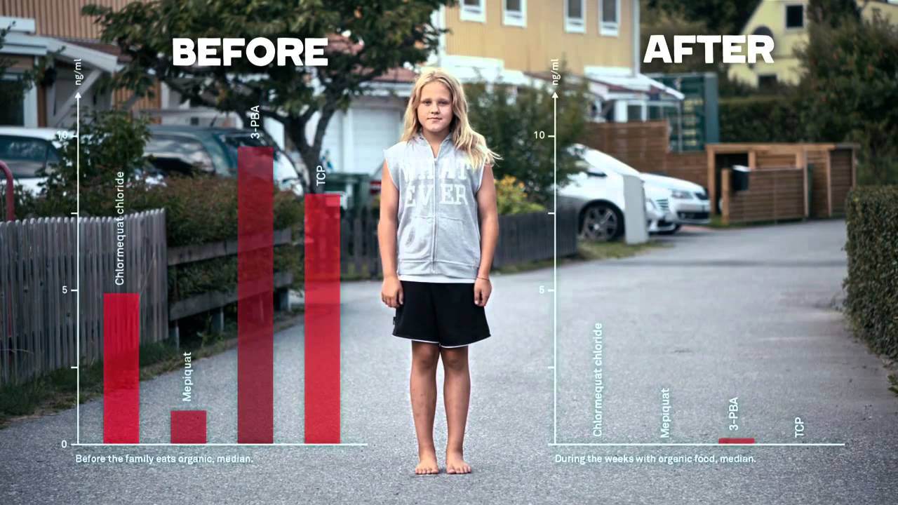 The Effect of Organic Food