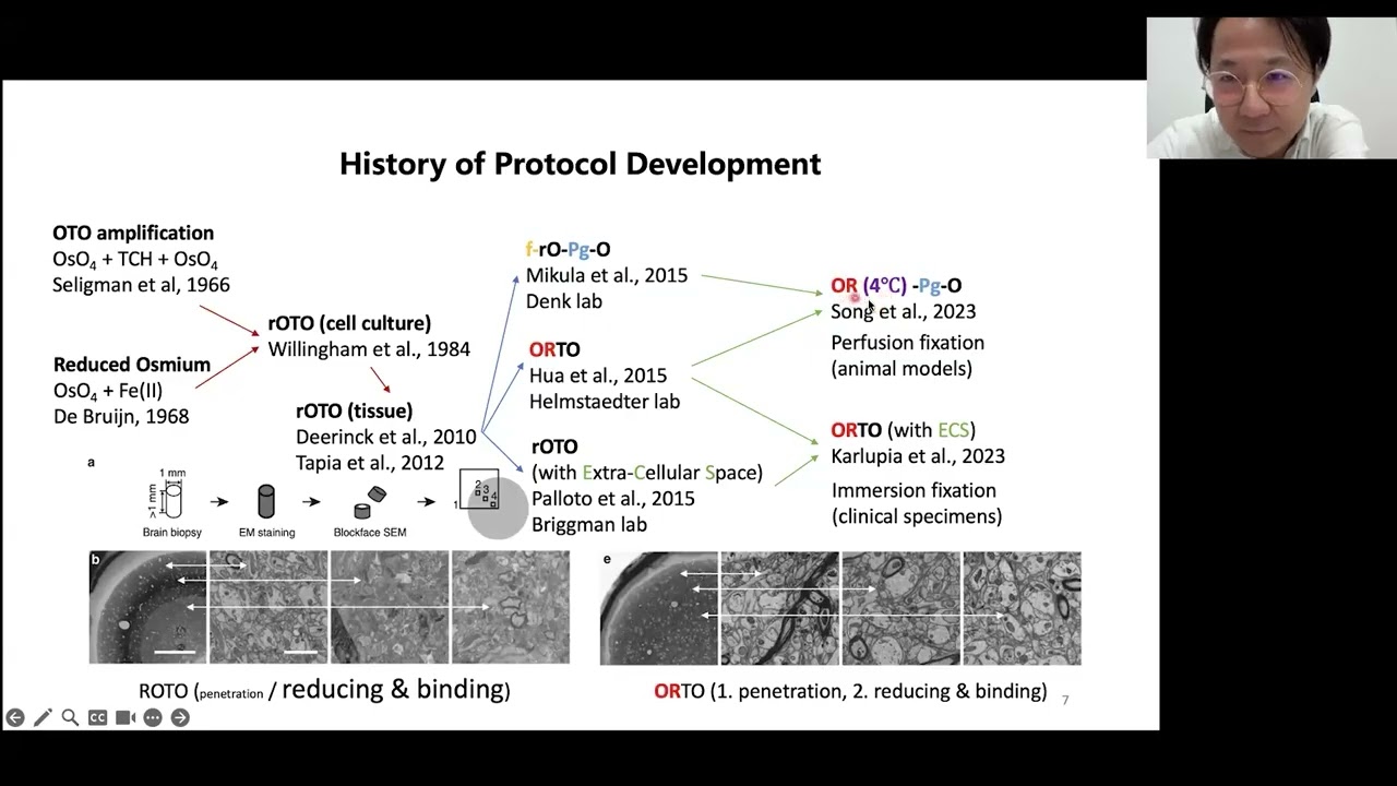 VIA Webinar: Saturated osmium en bloc staining of whole organs for high-throughput volume EM
