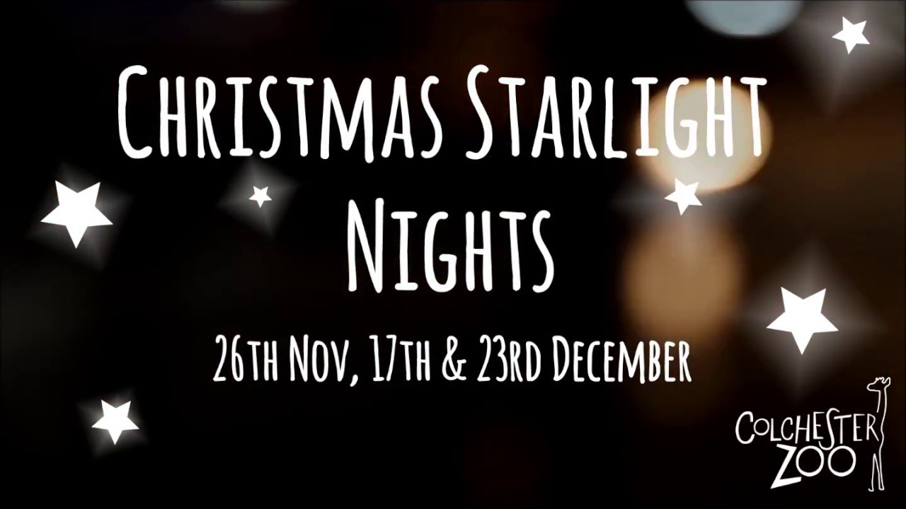 Christmas Starlight Nights at Colchester Zoo