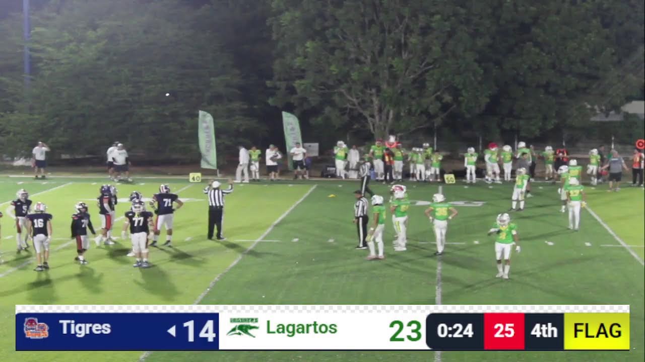 🏈 ¡Día de juego en la selva! 🐯🆚🐊- MIDGET