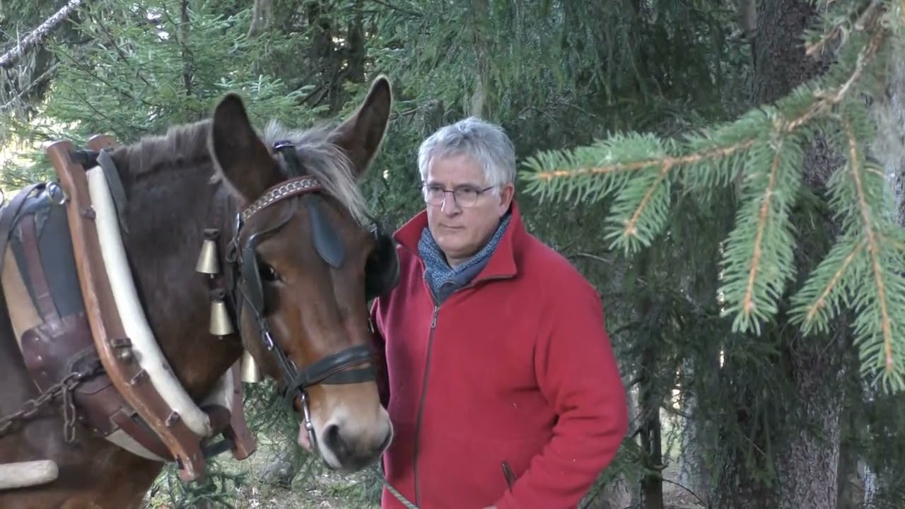 Les Débardeurs