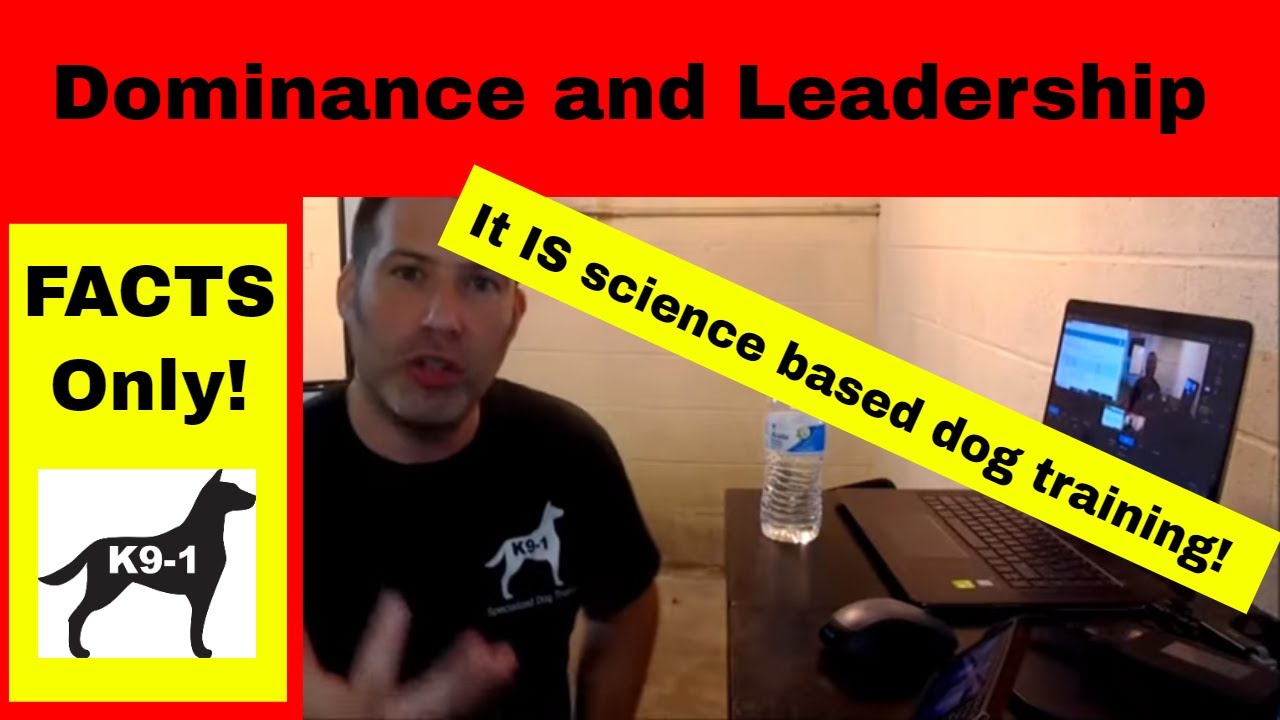 Dominance and Leadership IS Science Based Dog Training (K9-1.com)