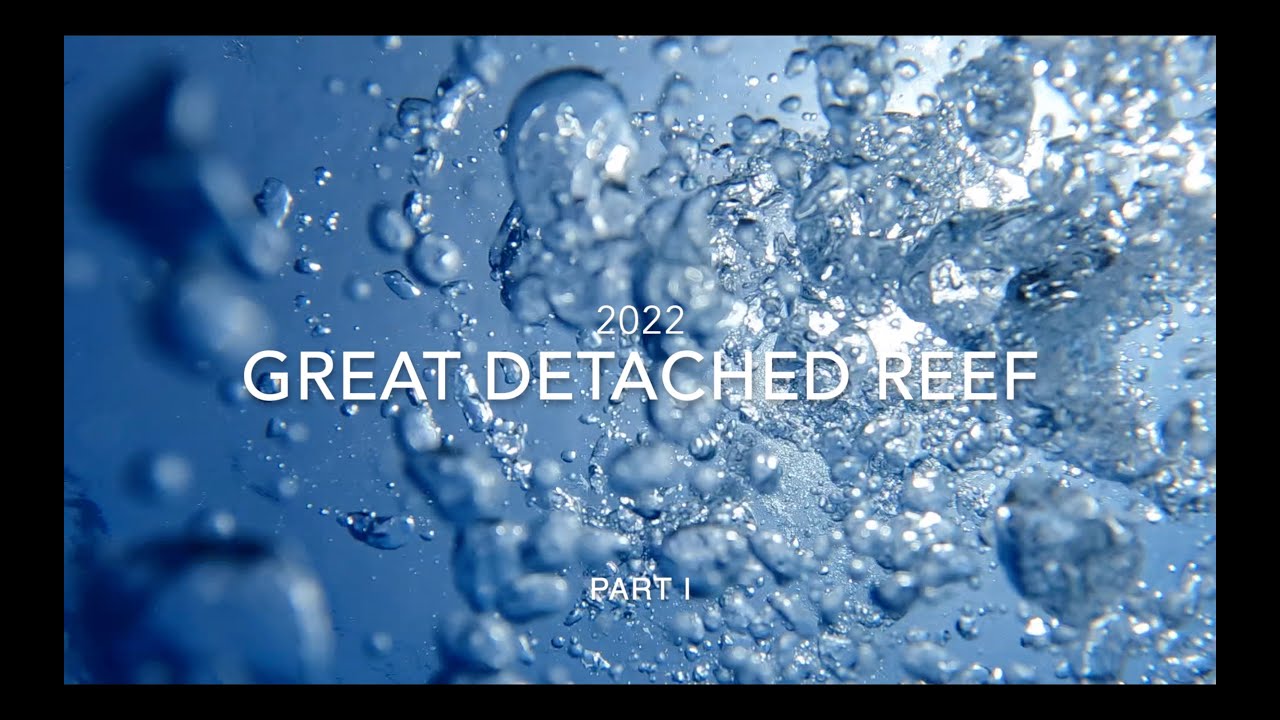 Great Detached Reef Part 1