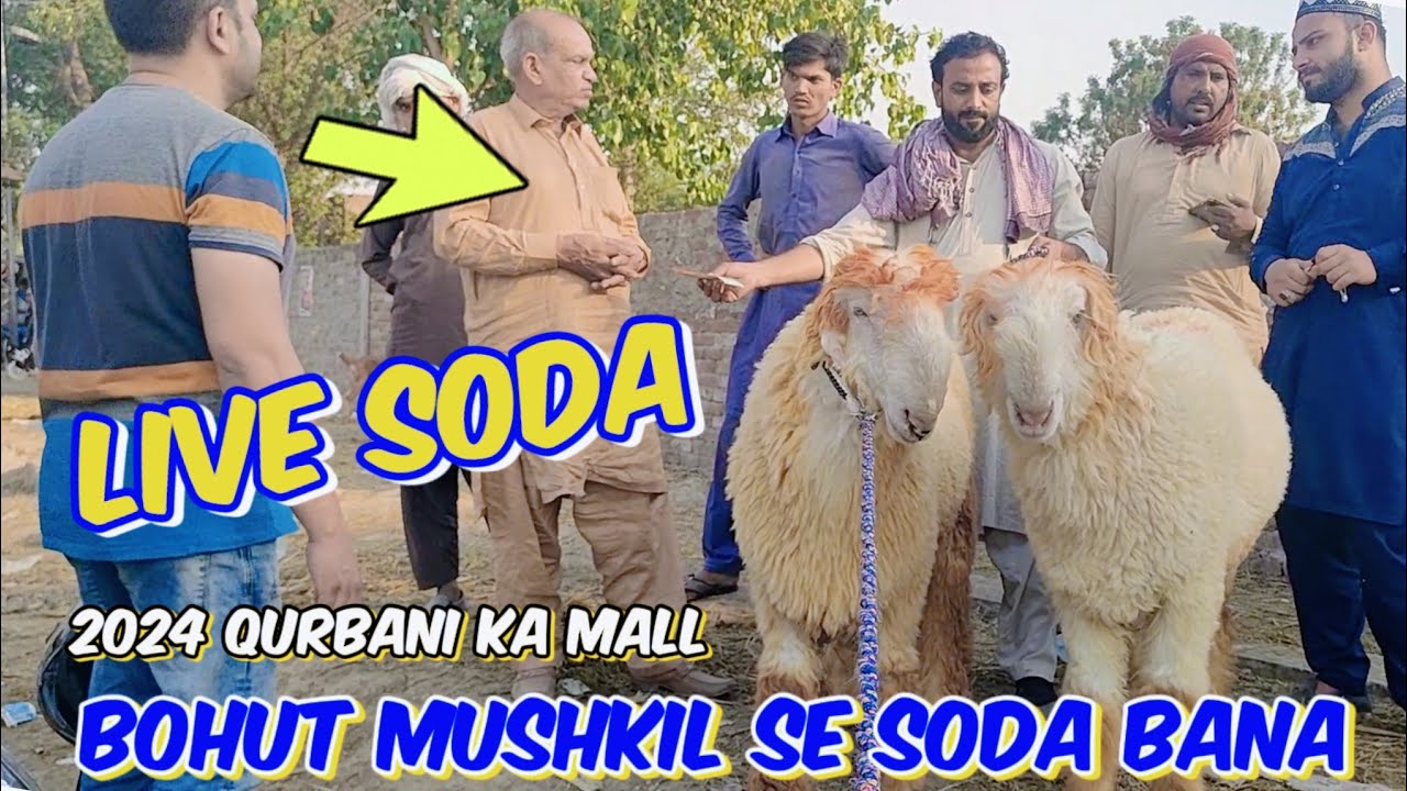 Live Soda | mundron ki Dil banakar maza a Gaya👍 | mundra chatre | Lahore shahpur kanjra mandi