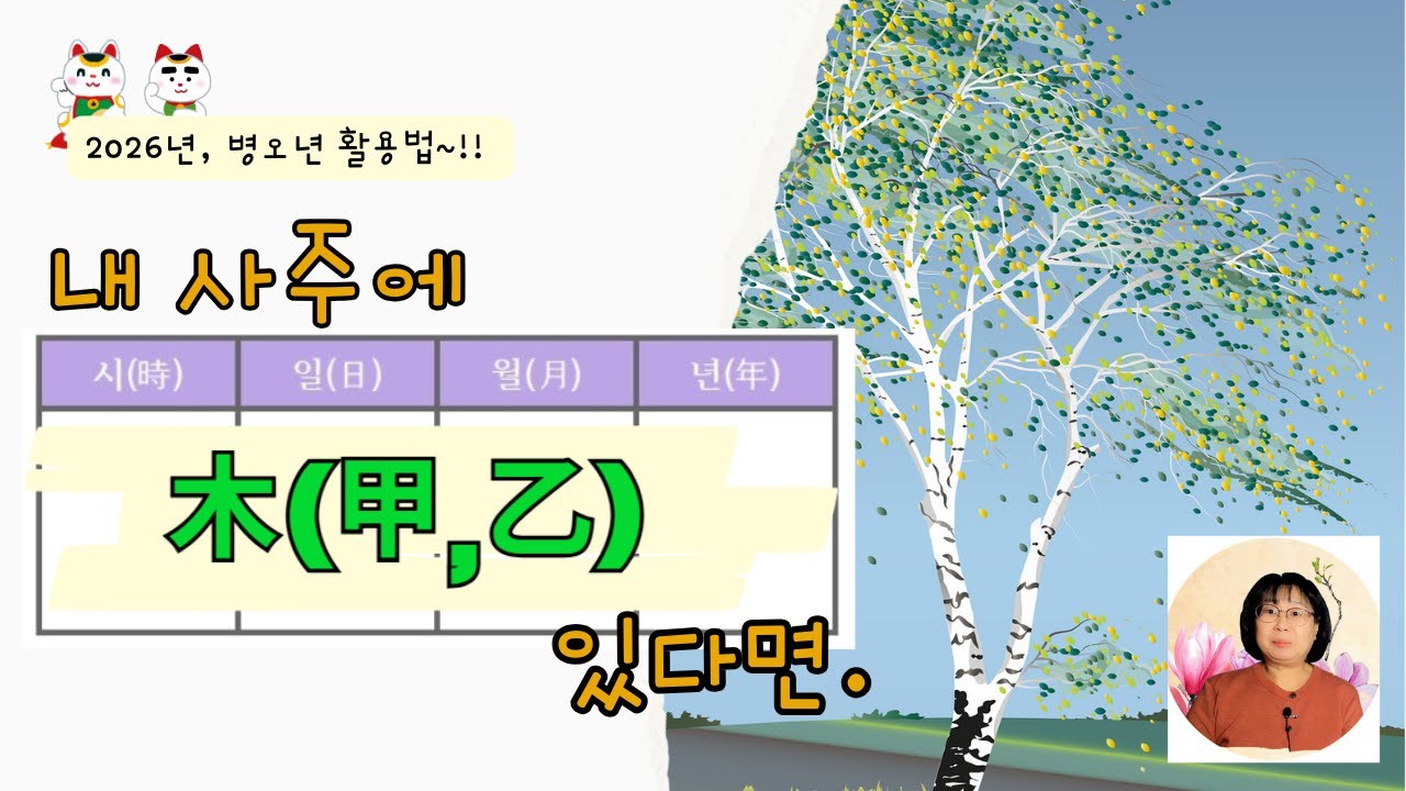 [2026년 운세] 사주에 木이 있다면 丙午년은 어떻게 해야 할까? | 일간별로 살펴본