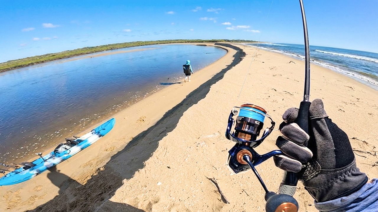 Спокойный день рыбалки с морской свинкой и водорослями.