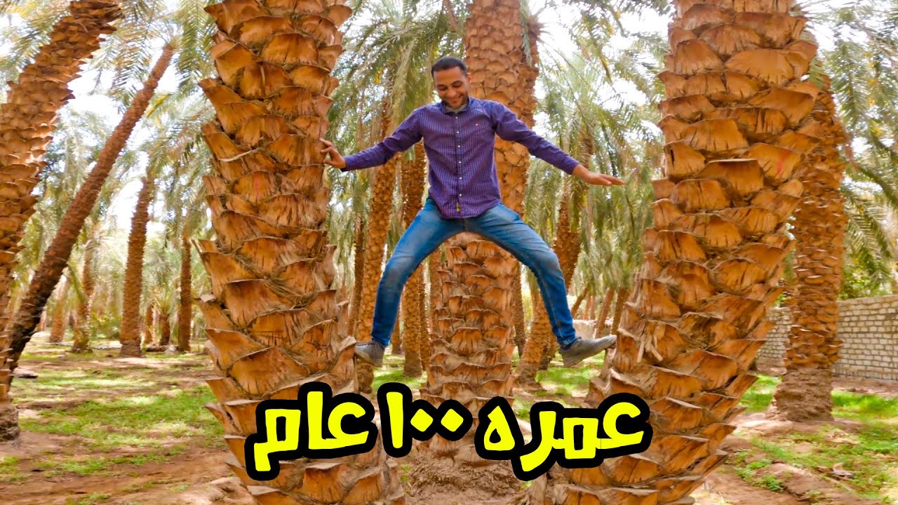عمره 100 عام ولسه بخيره في الواحات الخارجة