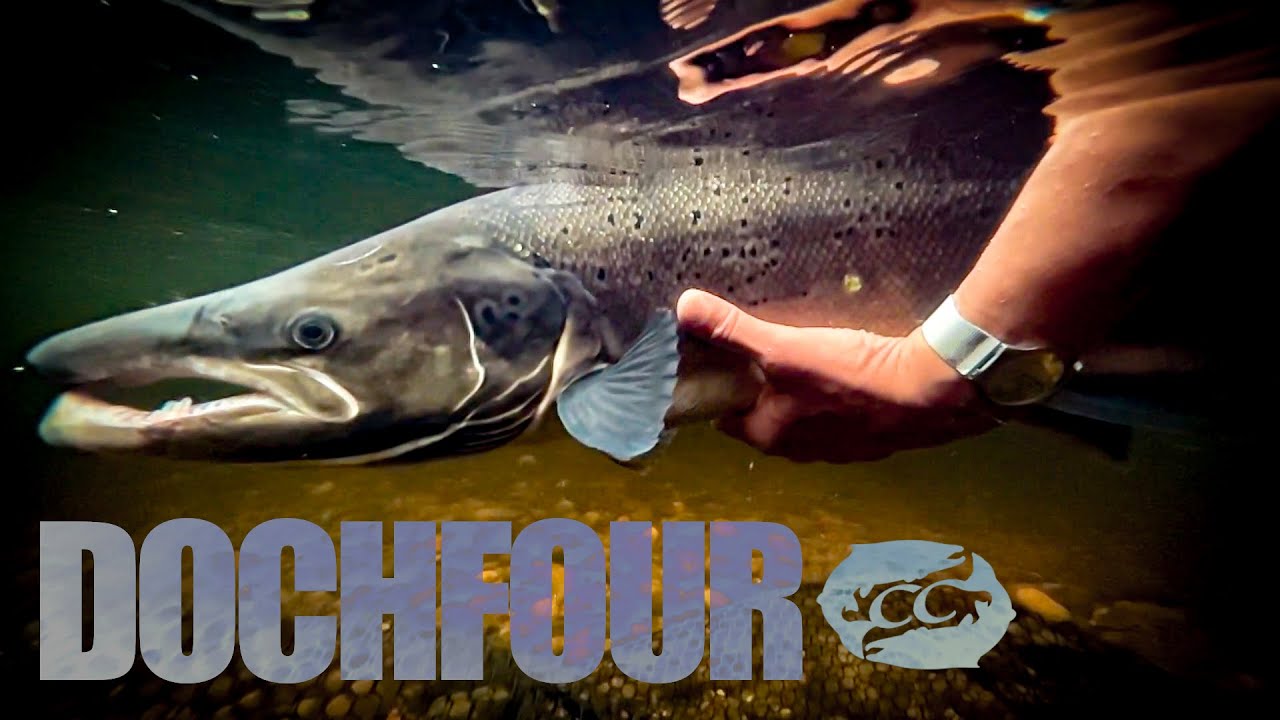 21.5lb salmon caught on the fly | Dochfour | salmon fishing Scotland 2022 🏴󠁧󠁢󠁳󠁣󠁴󠁿