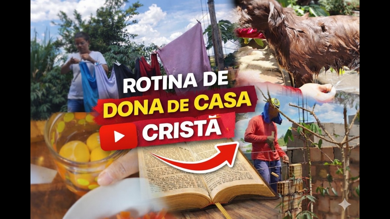 Dona de Casa Cristã / Rotina SIMPLES / OMELETE NUTRITIVO