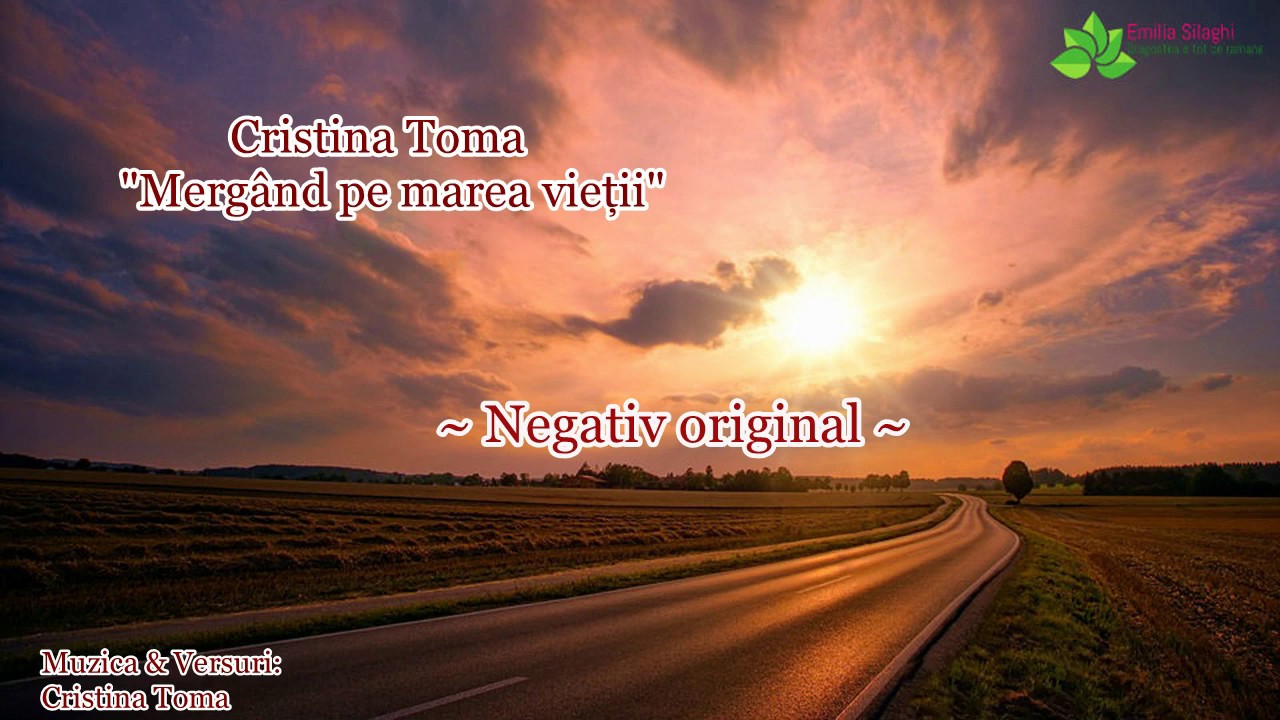 Negativ “Mergând pe marea vietii” - Cristina Toma