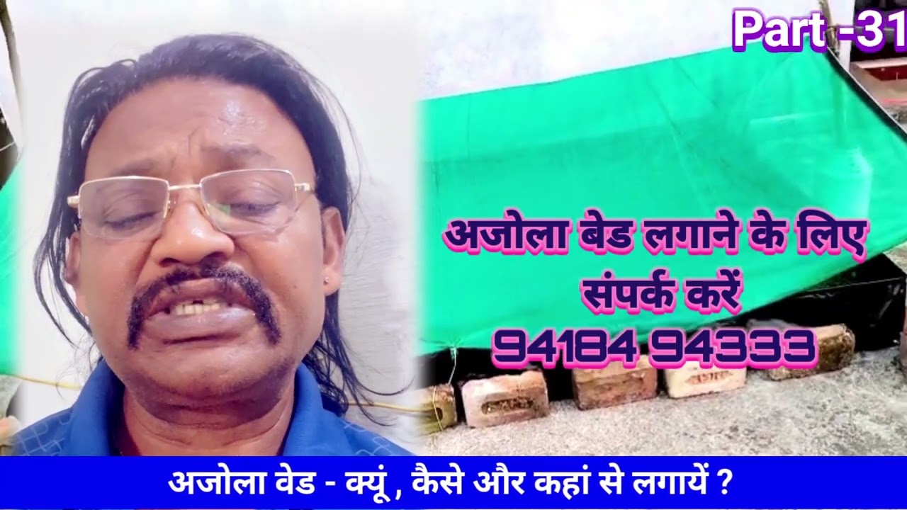 कम खर्च में अजोला बेड़ लगाने के लिए किससे मिलें - 9418494333