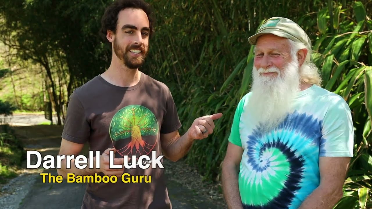 How to Use Invasive Species Like Bamboo to Your Advantage!