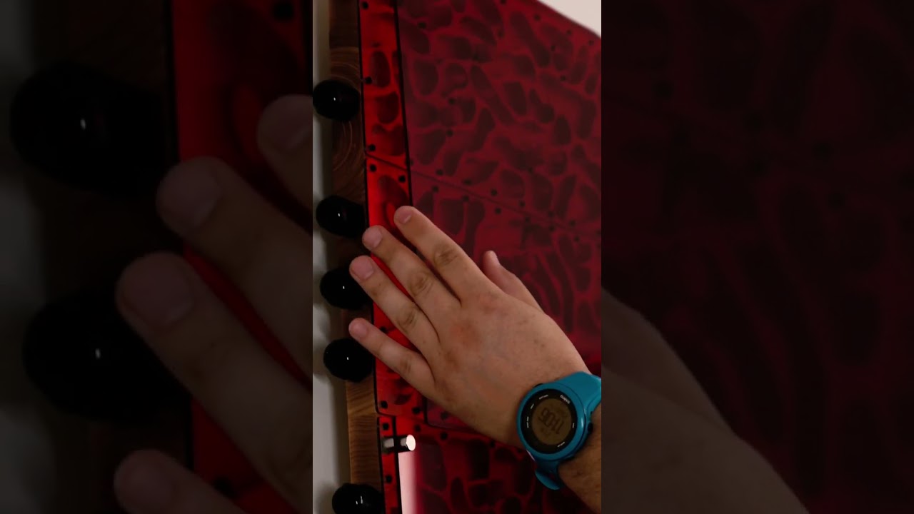 Probably The Biggest Ants Nest In The World!