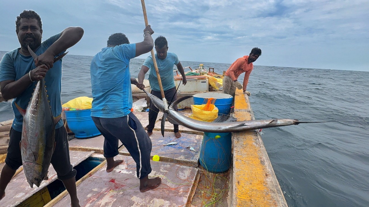 Ohh❗First Day 💢 Lucky Day 🤩 We Caught Lot of Mahi Mahi & Wahoo Fishes in Deep Sea Fishing 