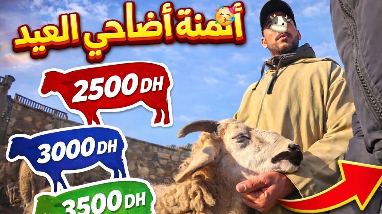 #جولة في #سوق #شعبي #اسبوعي حد حرارة #واتمنة 💲 الخروف 🐏 و #الخضر 🔥 