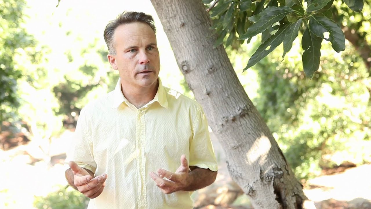 Meet Alex MacLachlan, California Avocado Farmer
