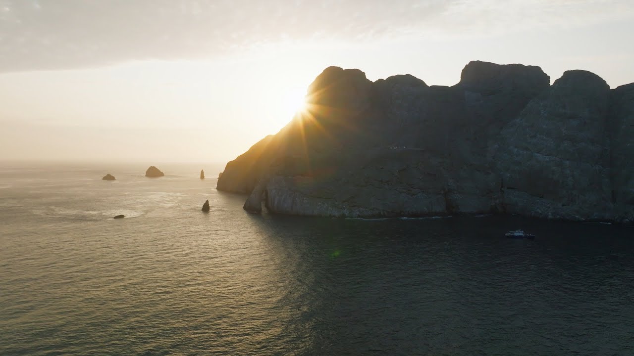 Rolex Perpetual Planet Initiative – Mission Blue: Malpelo Island Hope Spot – Ep. 1