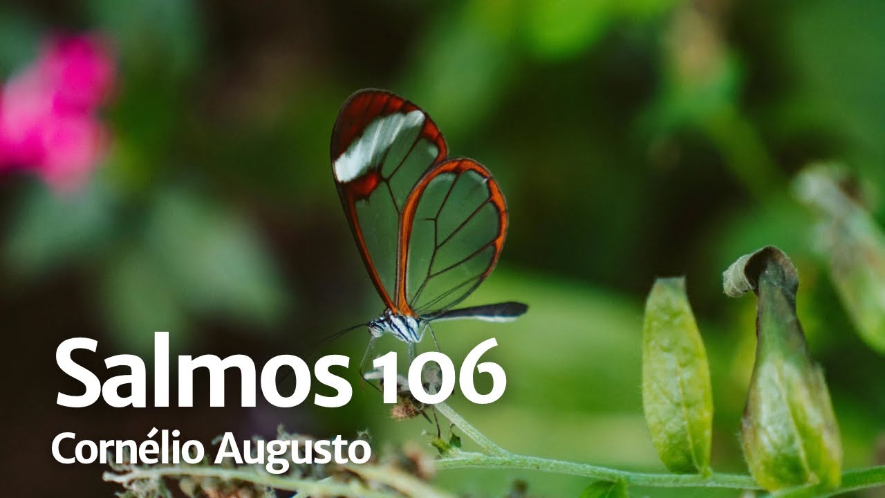 Bíblia Falada | Salmos 106