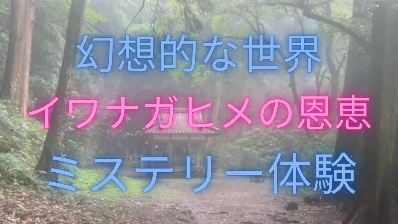 長崎県【岩戸神社】雲仙の山中にひっそりと佇む神社は神秘的な光景