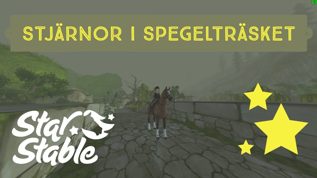 🌟 Alla stjärnor i Spegelträsket | SSO