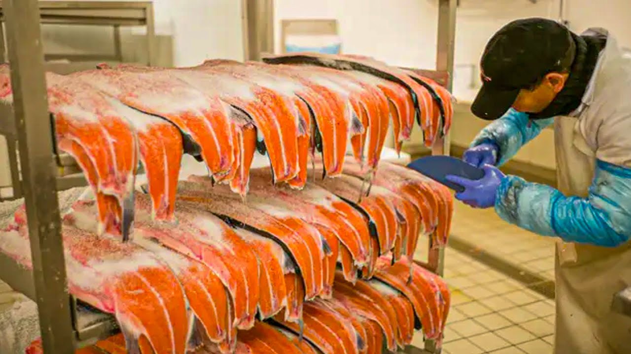 Salted Salmon Making Process | Modern Salmon Farm | How to Make Salted Salmon At The Factory