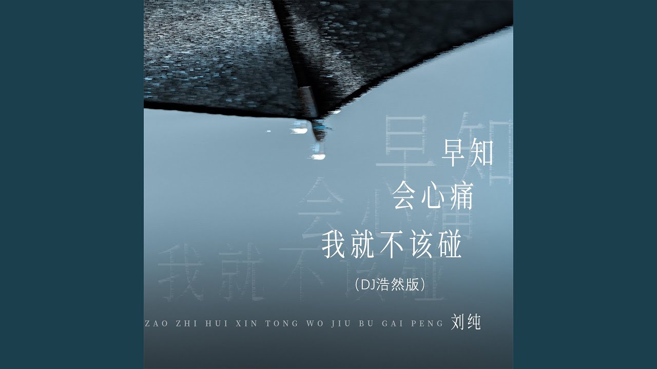 早知会心痛我就不该碰 (Dj浩然版)