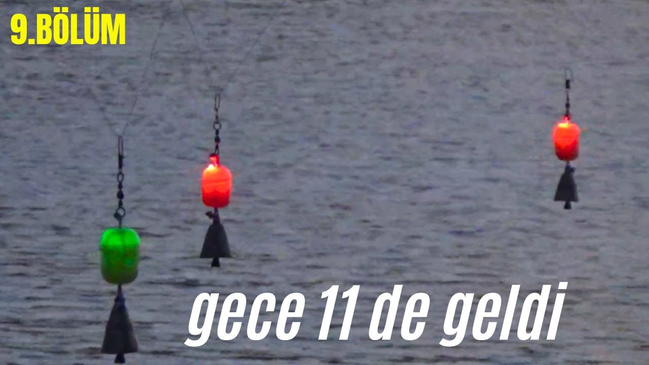 11 Gün Tek Başıma Kamp Yaptım | 9.BÖLÜM | #sazan #kamp #balıkavı #camping #fishing #bait #carphunter