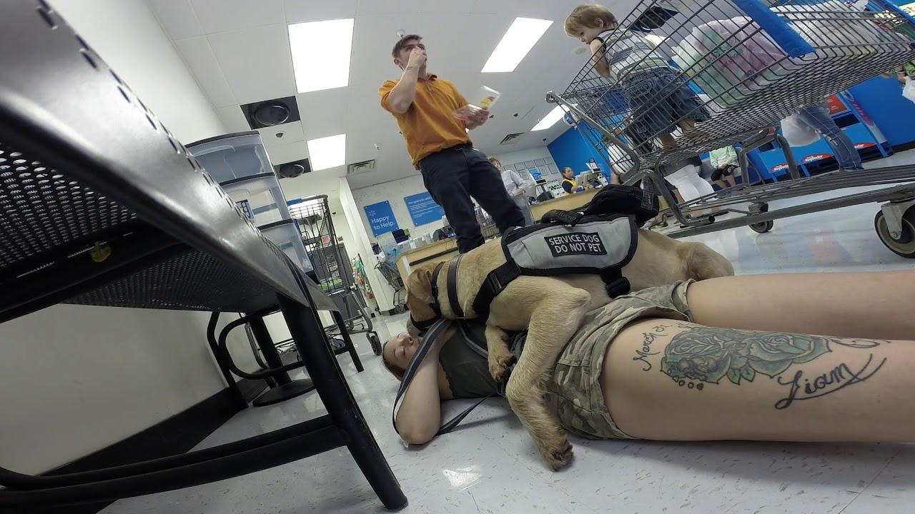 ADULTS INTERACTING WITH MY SERVICE DOG AND FAINTING