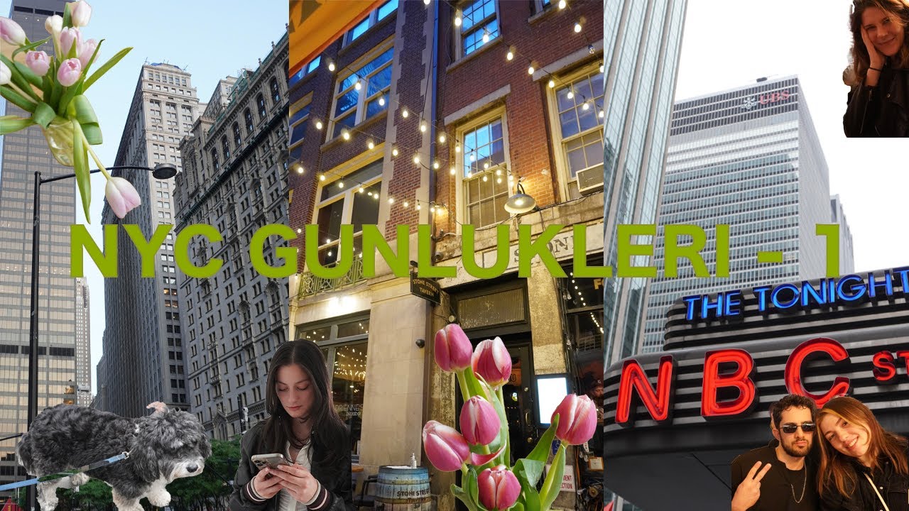 NYC Gunlukleri