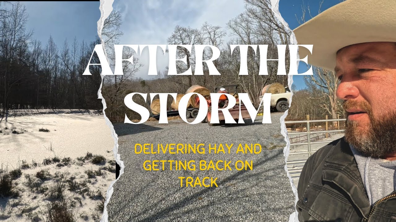 After the Winter Storm.. #farming #farm #farmlife #cattlefarming 