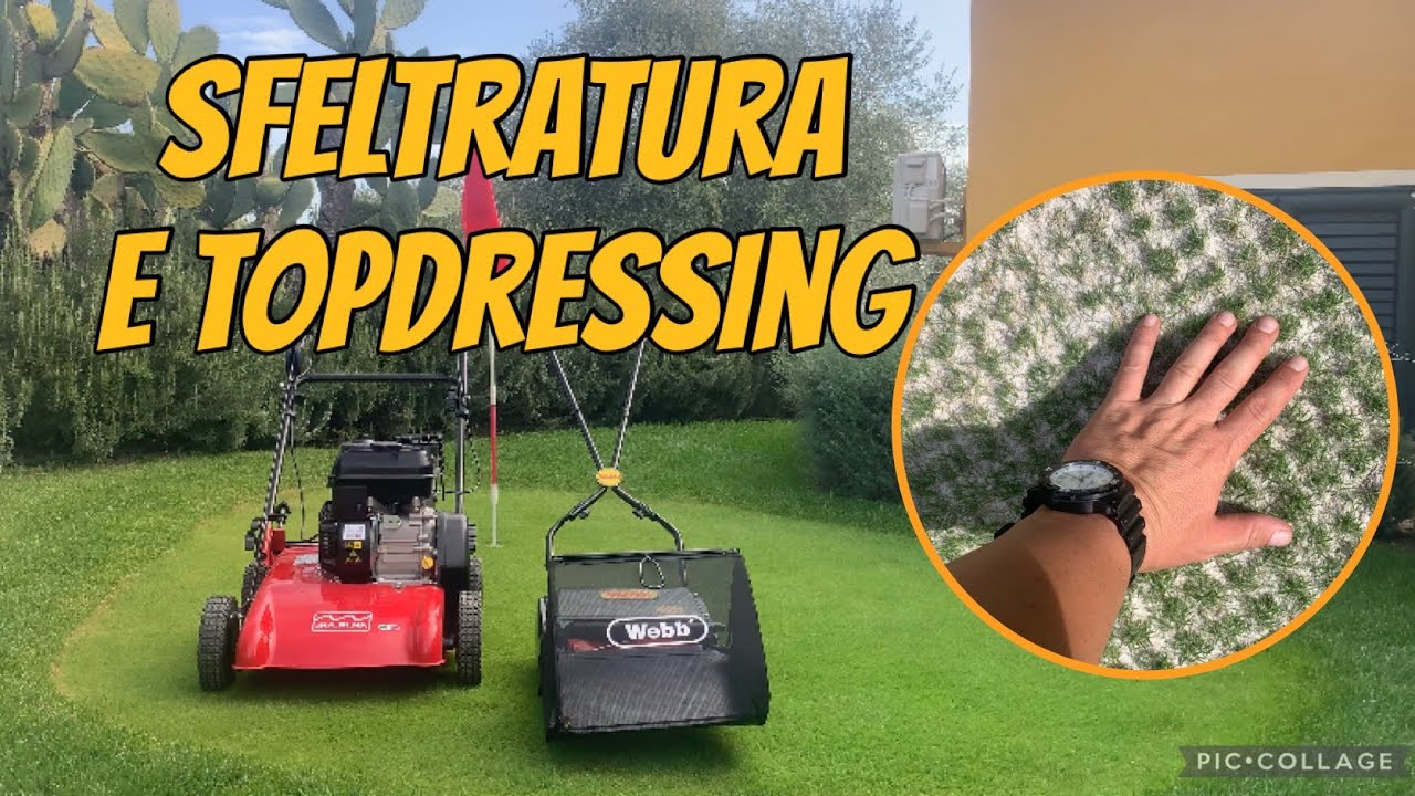 Arieggiatura verticut e topdressing del tappeto erboso