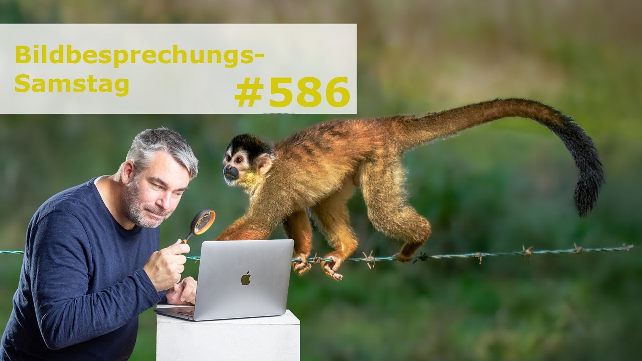 Bildbesprechung 586
