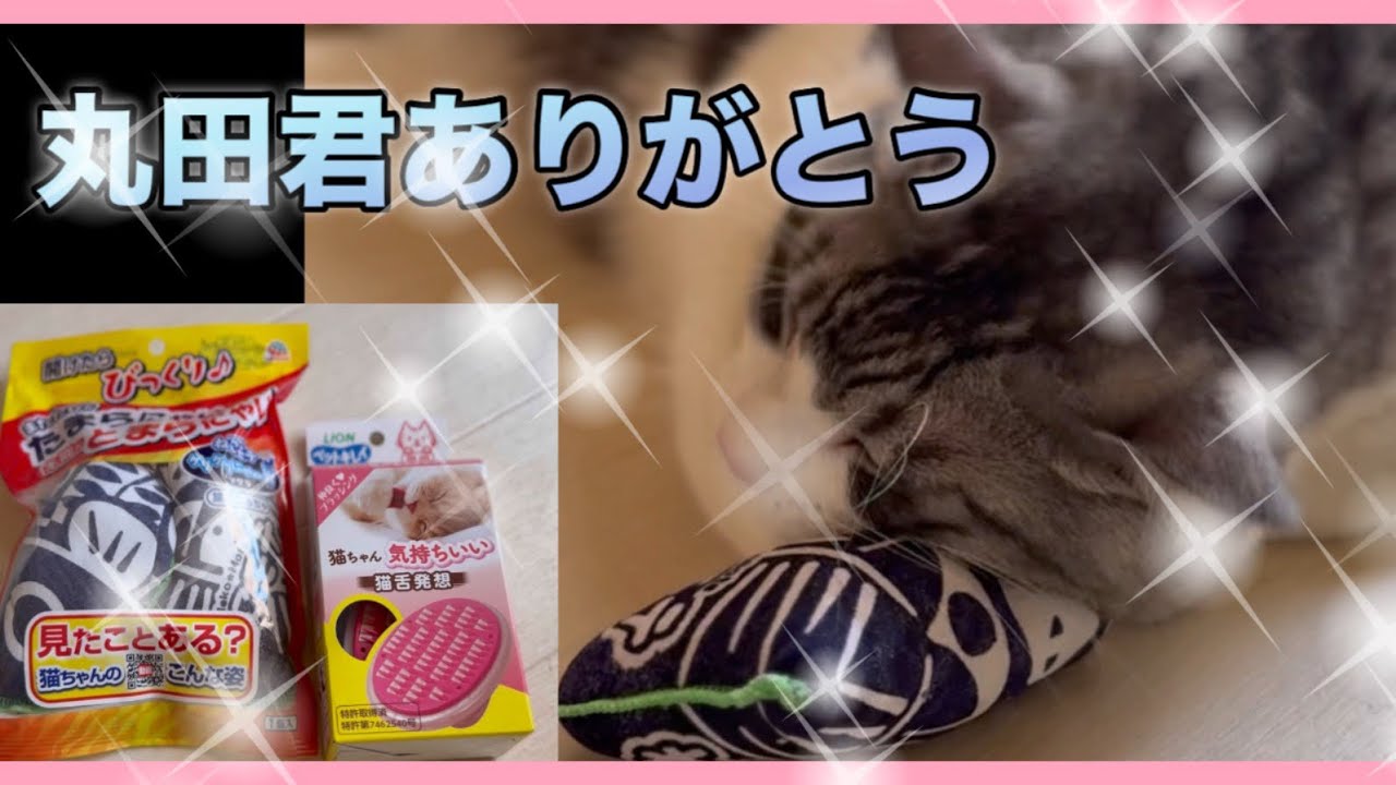丸田君からのプレゼント❣️#福ちゃん #空ちゃん 