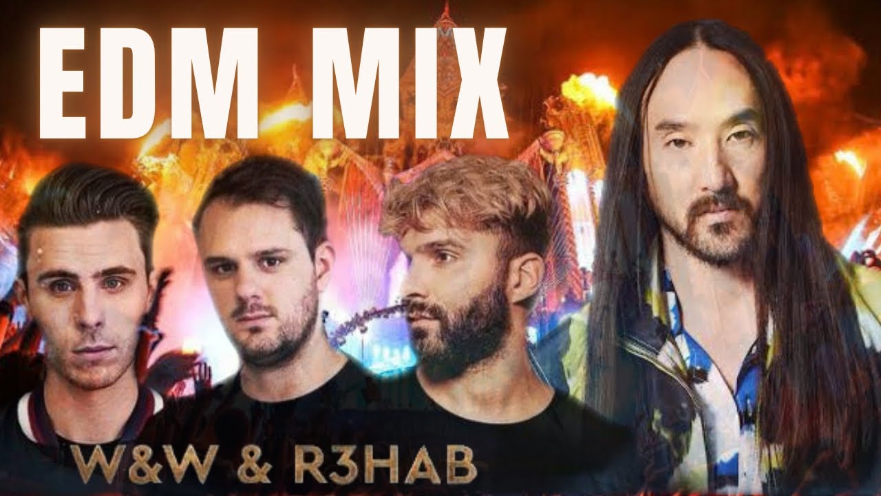【EDM】W&W , R3HAB , David Guetta , Steve Aoki  , Timmy Trumpet , ZEDD , Avicii , Hardwell VOL4