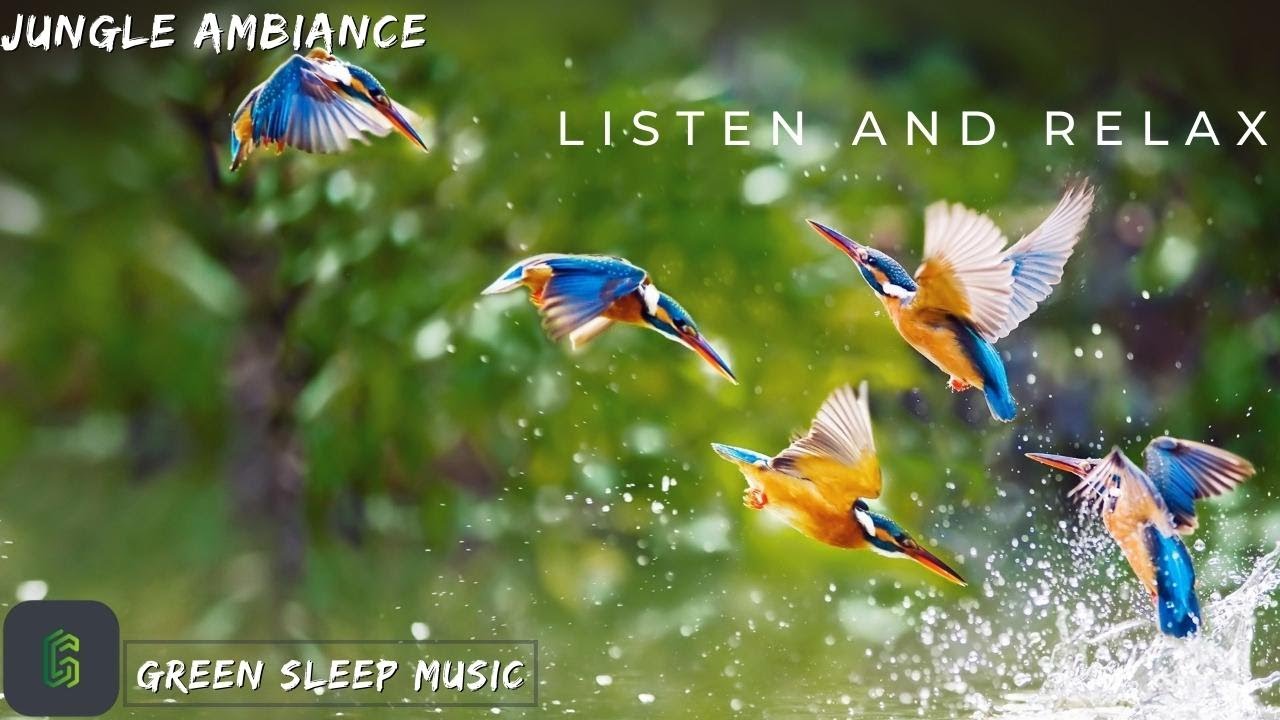 Relaxing Forest Birdsong Music for Sleep and Meditation | Nature Sounds | Relaxing Music