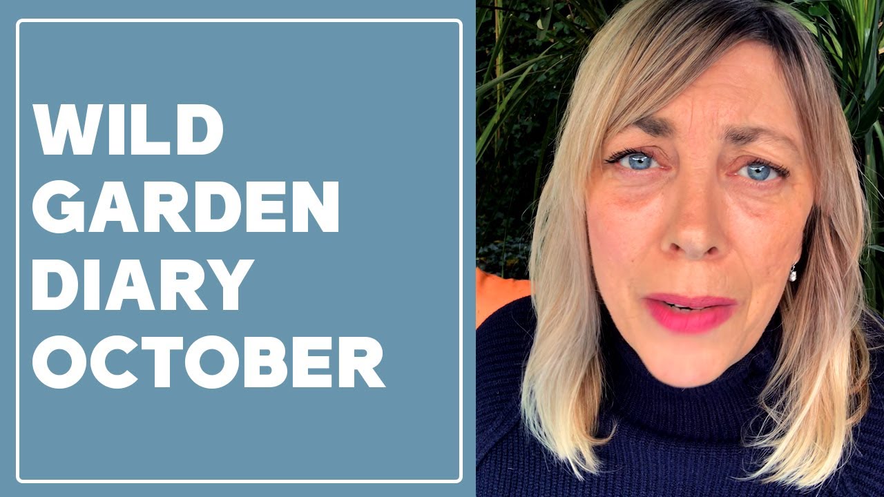 My wild garden diary, October 2022