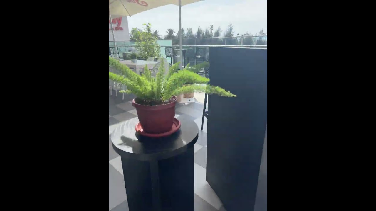 7 de febrero de 2026