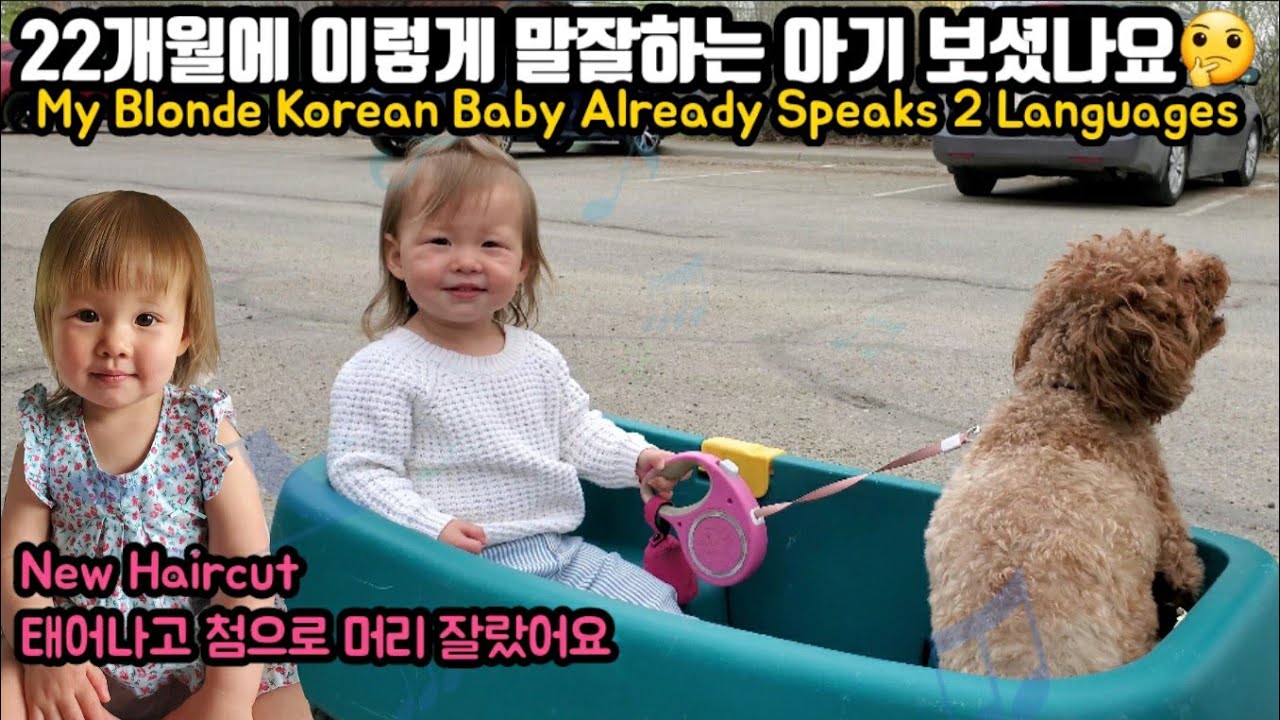 🇰🇷🇨🇦지아와 지지 2탄| Toddler and Poodle #2 | 육아채널인지 코미디 채널인지 저도 모르겠습니다🙄| 국제커플| 캐나다| 육아| 브이로그