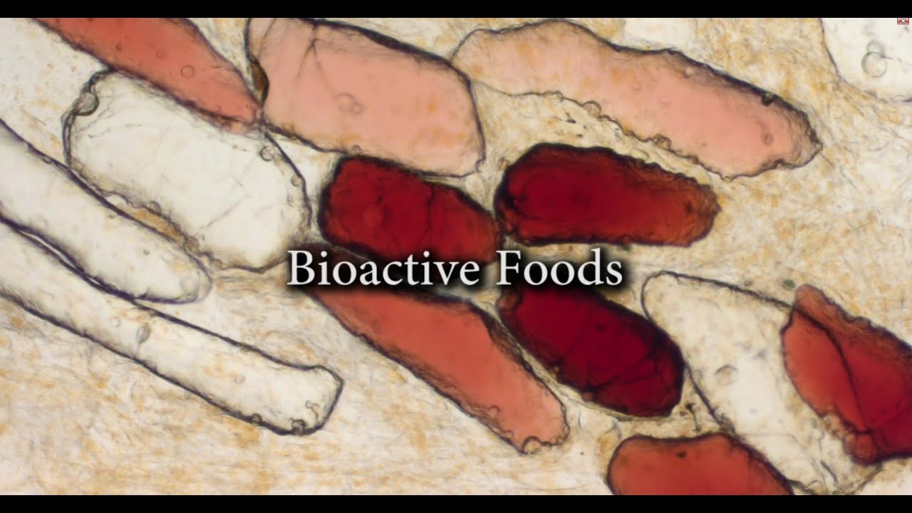Bioactive foods