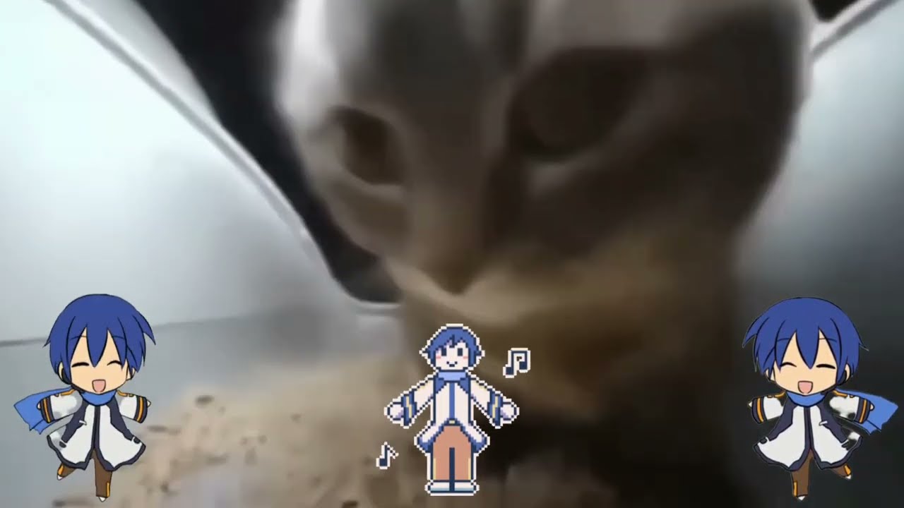 【KAITO】DUBIDUBIDU 【VOCALOID6カバー】