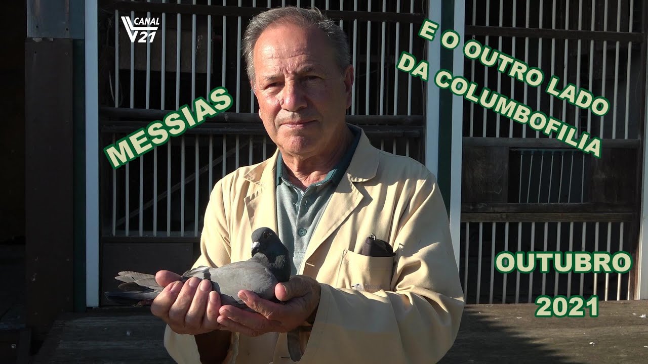 Columbofilia / Pombal Messias (Branca-Albergaria) / Outubro 2021 / VL21