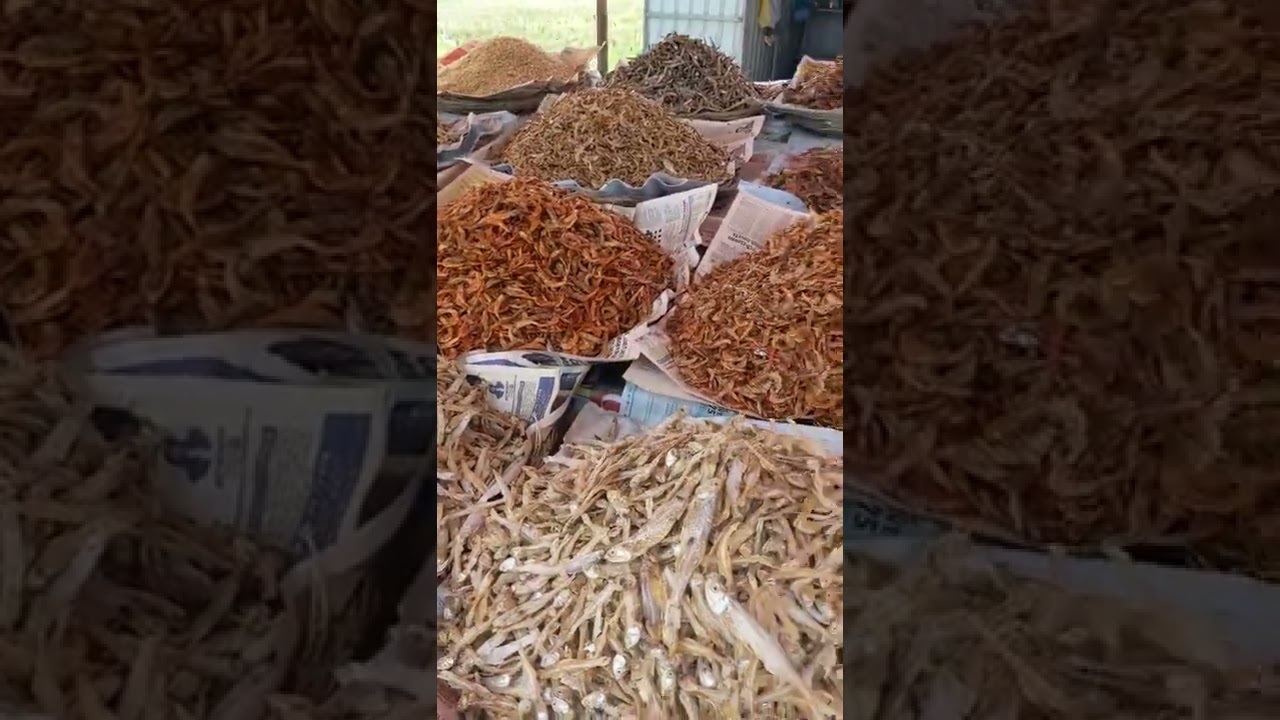 Dry fish market in andhra pradesh.. #shorts #shortvideo #andhrapradesh #dryfish #dryfishrecipe