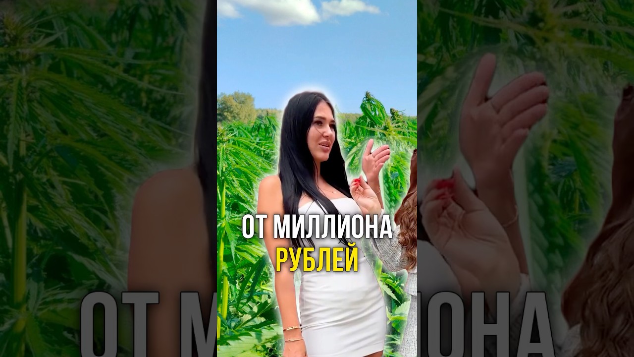 От миллиона 🤑
