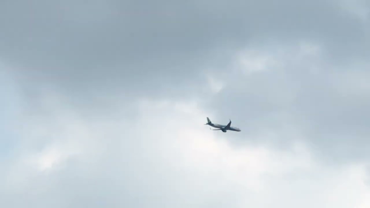 Bamboo Airways(Thank you Livery) Airbus A321-251N(VN-A590) approach RWY 25R SGN/VVTS