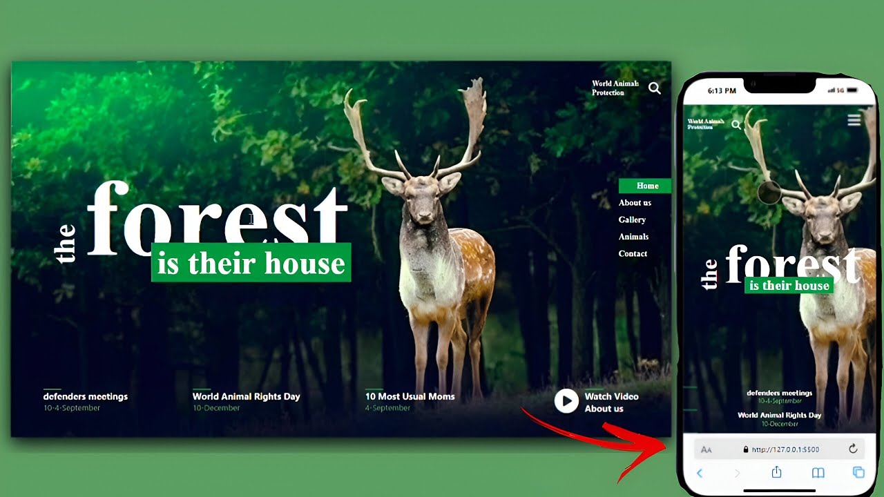 How to Make a Responsive Website using HTML & CSS | Forest Website Design Tutorial 2025